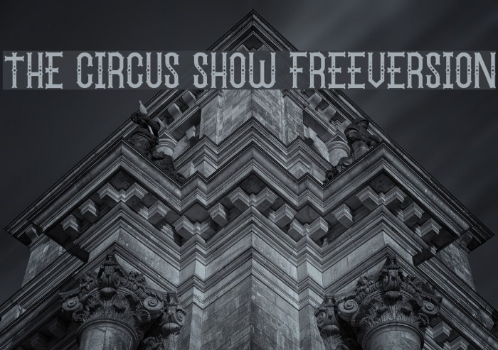 The Circus Show FreeVersion Polices examples