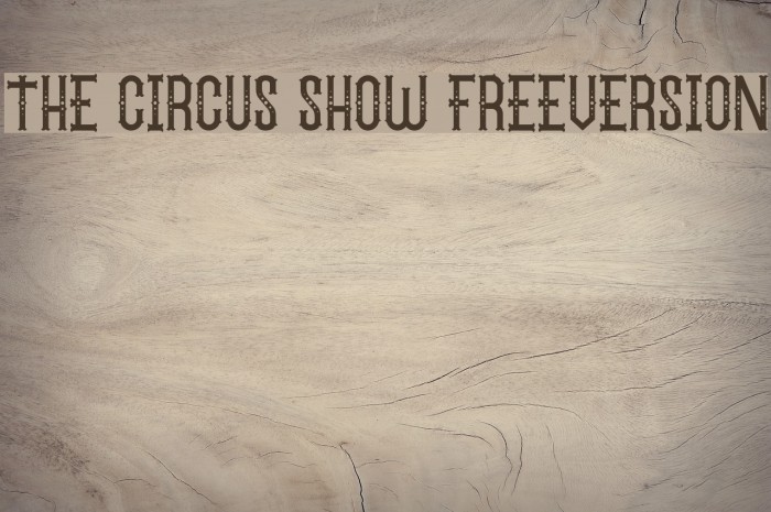 The Circus Show FreeVersion Polices examples
