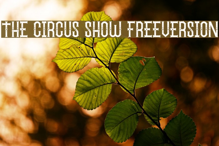 The Circus Show FreeVersion Polices examples