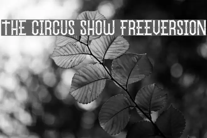 The Circus Show FreeVersion Polices examples