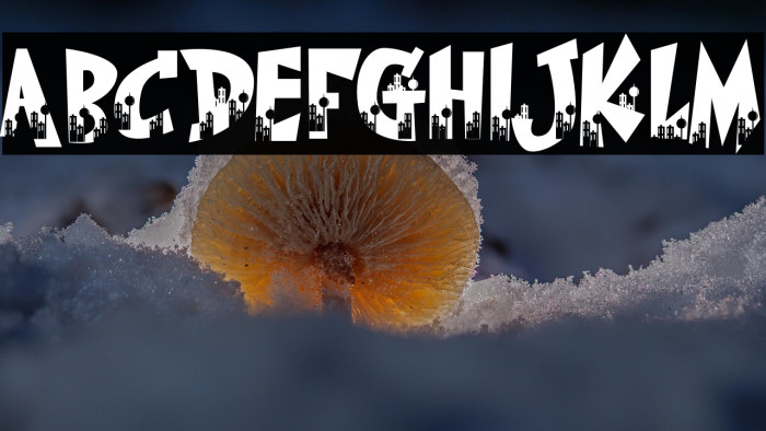 The Cityzen Example 2