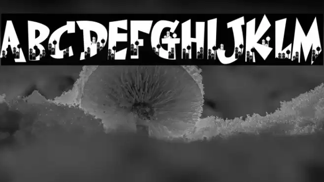 The Cityzen Font examples