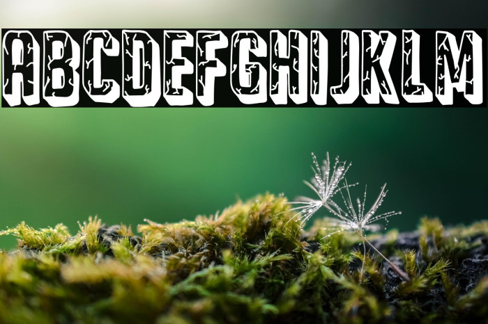 The Civil War Hotel Example 1