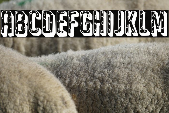 The Civil War Hotel Example 3