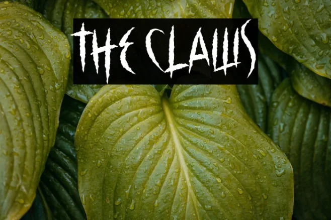 The Claws Example 1