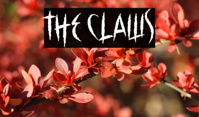 The Claws Example 2