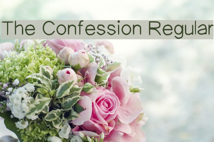 The Confession Regular Font examples