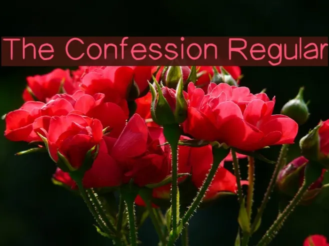 The Confession Regular Example 3