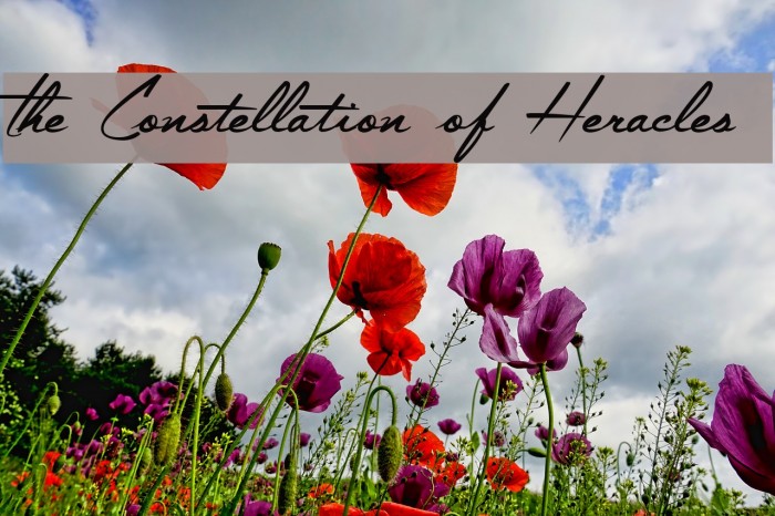The Constellation of Heracles Font examples