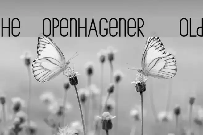 The Copenhagener Bold Font examples