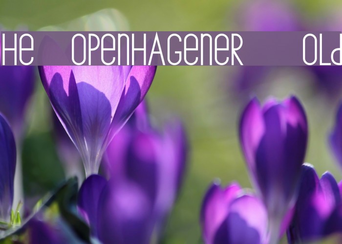 The Copenhagener Bold Example 2