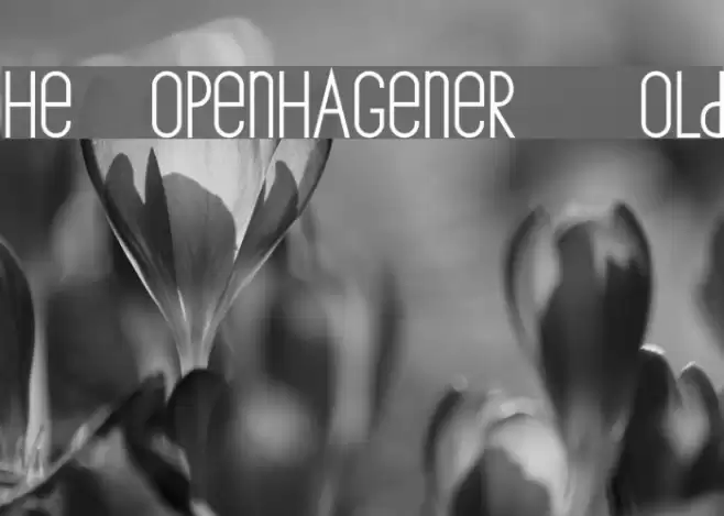 The Copenhagener Bold Font examples