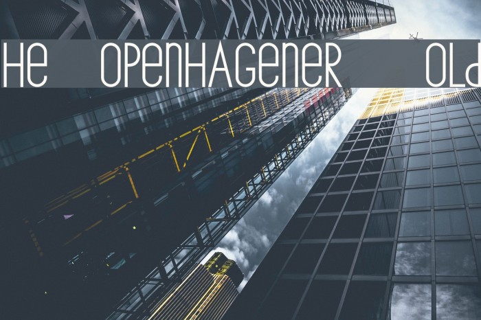 The Copenhagener Bold Example 3