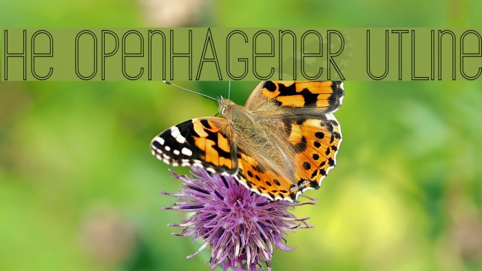 The Copenhagener Outline Example 1