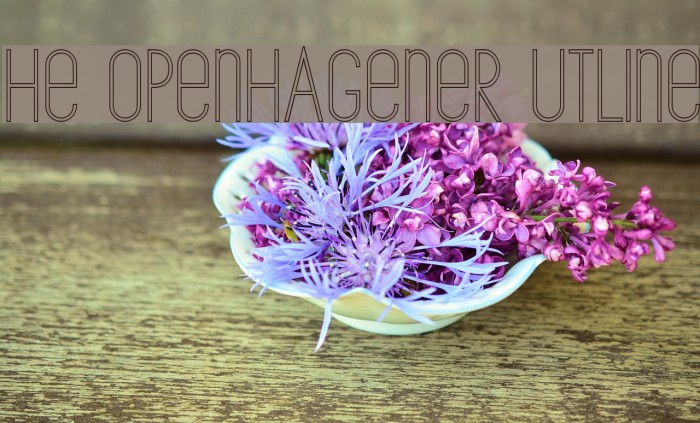 The Copenhagener Outline Example 2