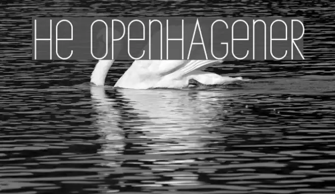 The Copenhagener Font examples