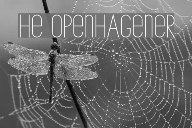 The Copenhagener Font examples