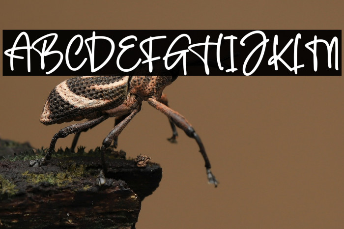 The Crafter Example 3