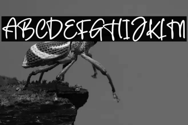 The Crafter Font examples