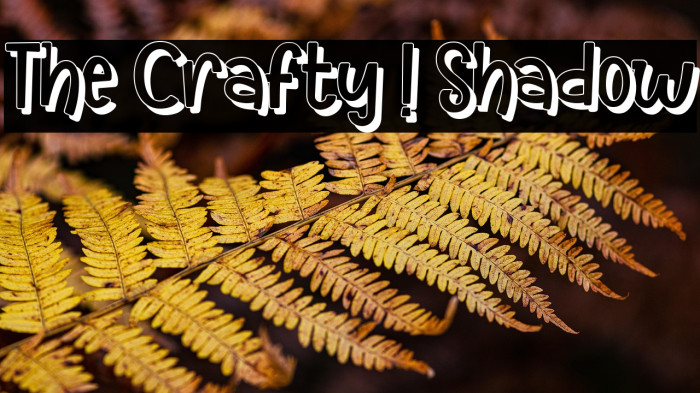 The Crafty ! Shadow Example 1