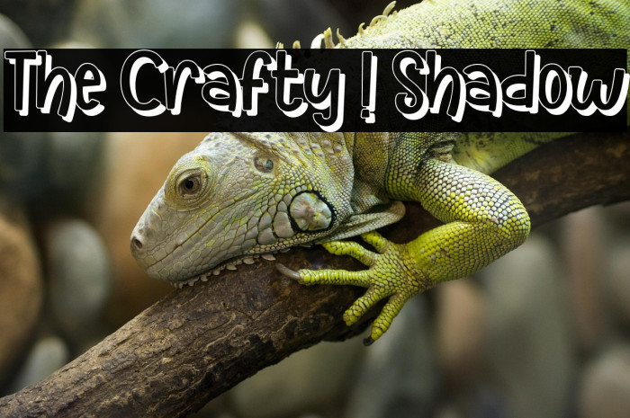 The Crafty ! Shadow Example 2