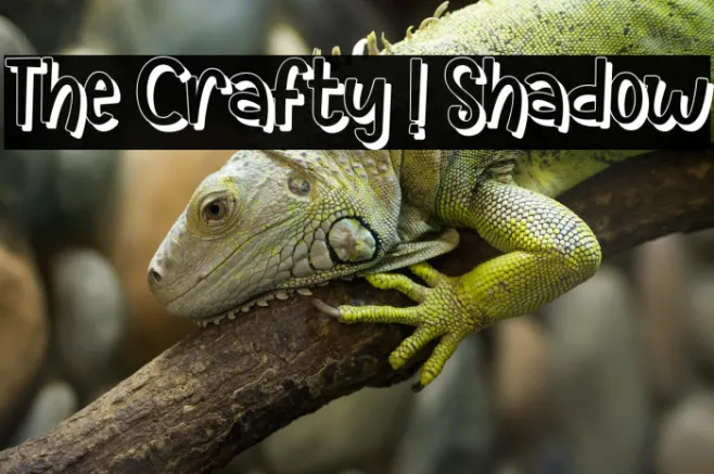 The Crafty ! Shadow Example 2