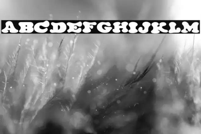 The Cream Shop Font examples