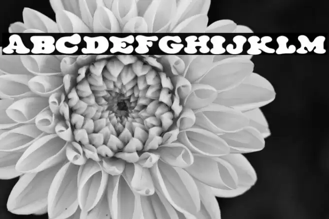 The Cream Shop Font examples