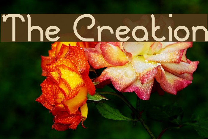 The Creation Fonte examples