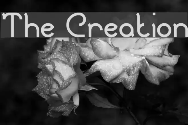 The Creation Fonte examples