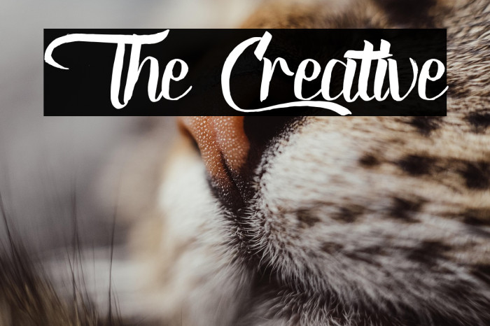 The Creative Example 2