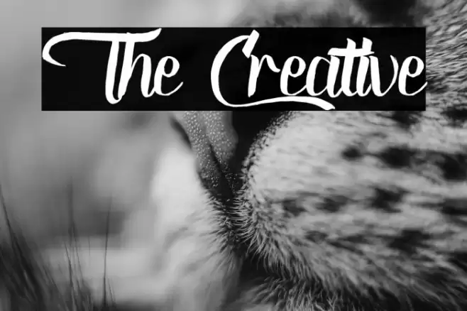 The Creative Font examples