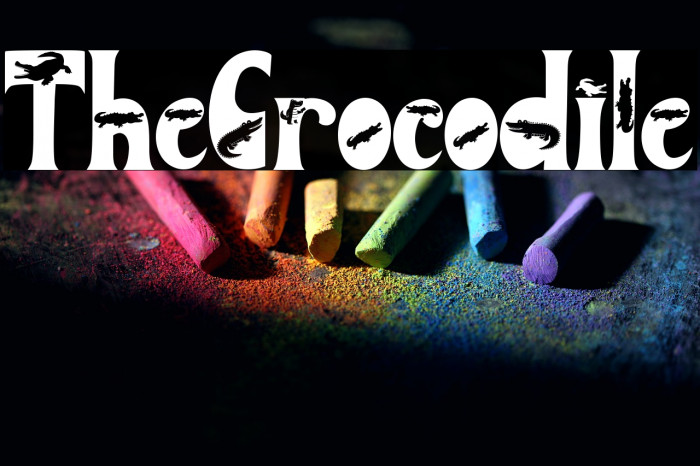 The Crocodile Example 1