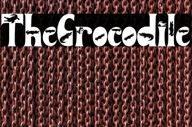 The Crocodile Example 2