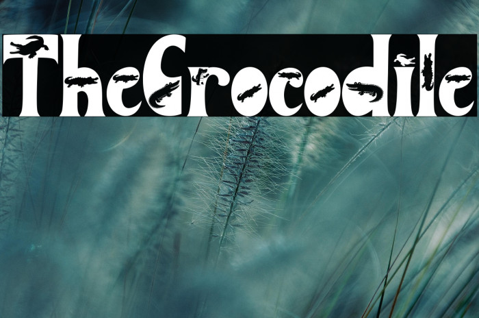 The Crocodile Example 3