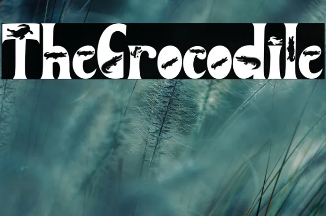 The Crocodile Example 3