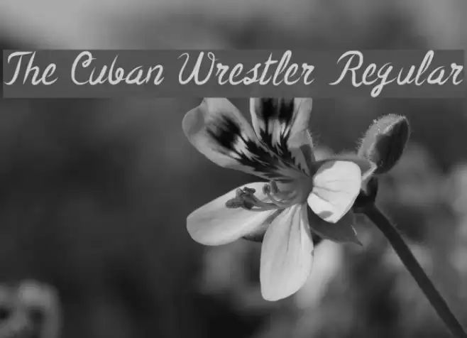 The Cuban Wrestler Regular Font examples