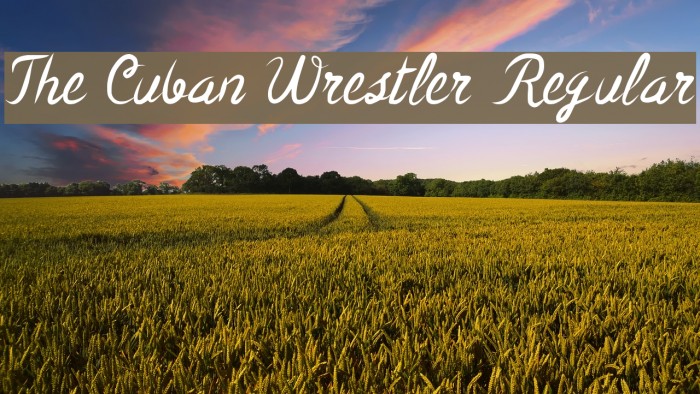 The Cuban Wrestler Regular Font examples