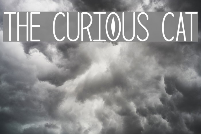 The Curious Cat Font examples