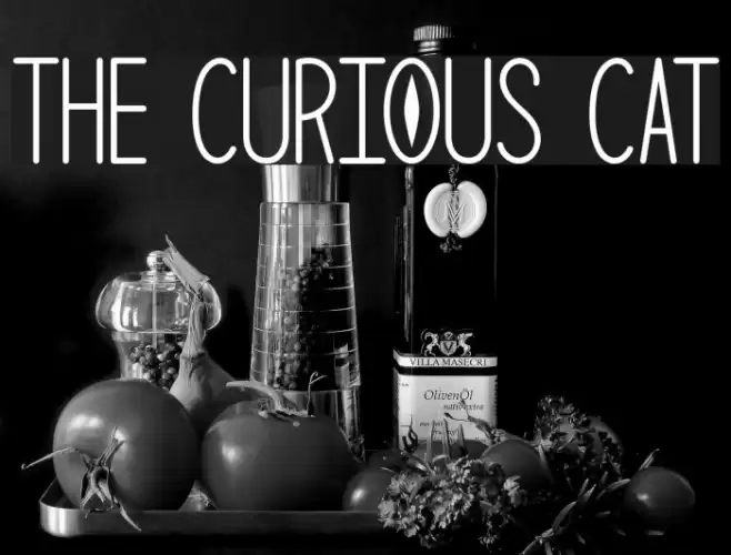 The Curious Cat Font examples