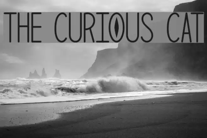 The Curious Cat Font examples