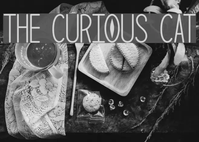 The Curious Cat Font examples