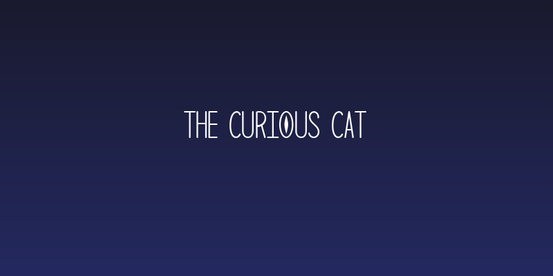The Curious Cat Social Header