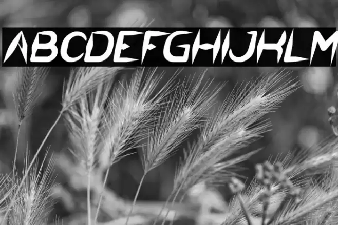 The Dark Knight Bold Italic Font examples