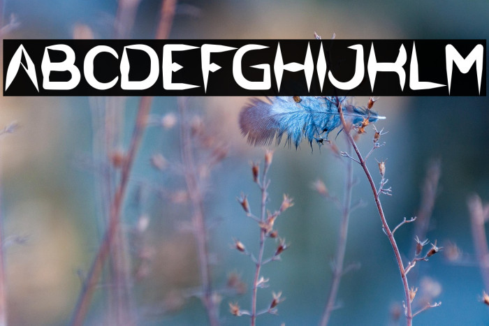 The Dark Knight Bold Example 2