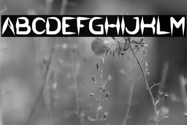 The Dark Knight Bold Font examples