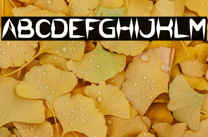 The Dark Knight Bold Example 3