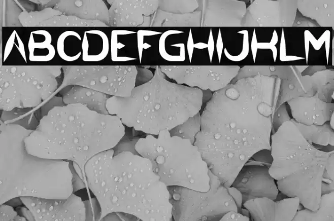 The Dark Knight Bold Font examples