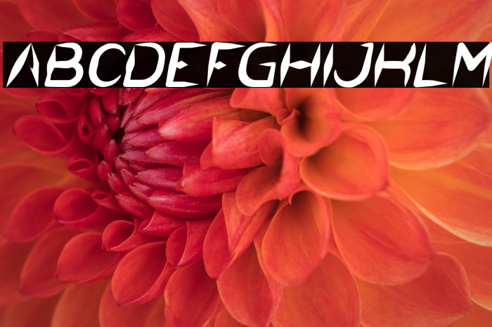 The Dark Knight Italic Example 1