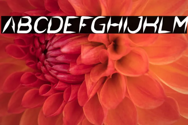 The Dark Knight Italic Example 1